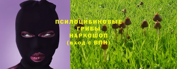 ГАЛЛЮЦИНОГЕННЫЕ ГРИБЫ Абинск